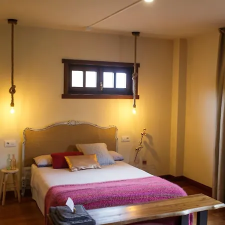 Holacamp Camino O Pino