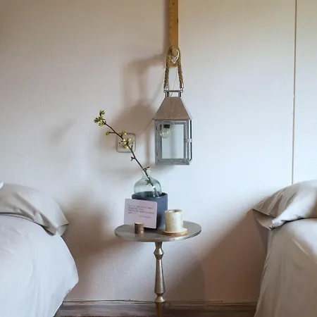 فيلة Holacamp Camino O Pino