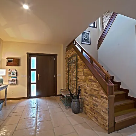 فيلة Holacamp Camino O Pino