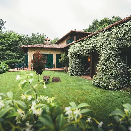 Holacamp Camino オ・ピノ