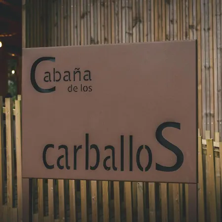 Holacamp Camino O Pino