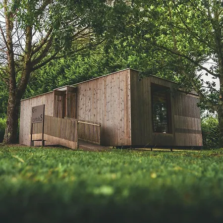 Holacamp Camino O Pino