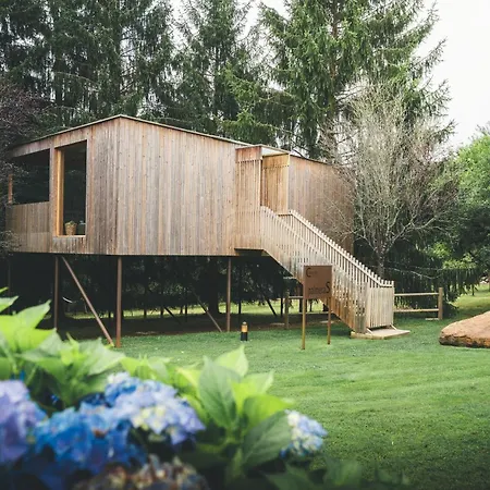 Holacamp Camino * O Pino