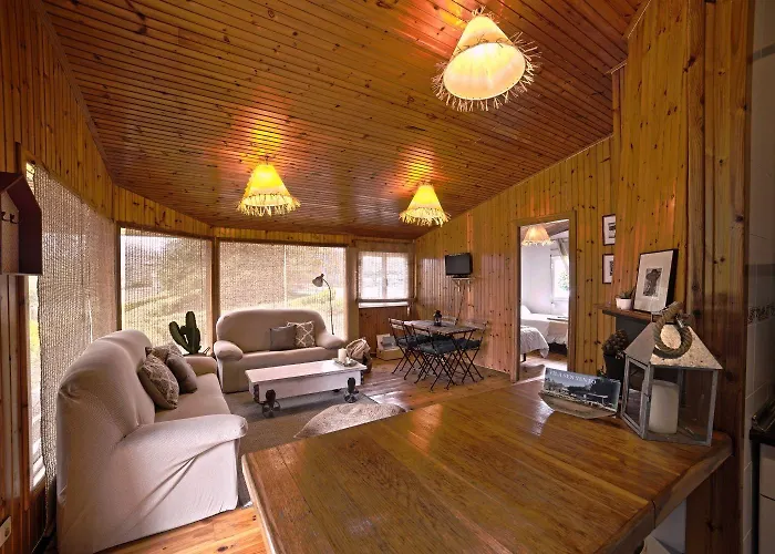 Holacamp Camino オ・ピノ