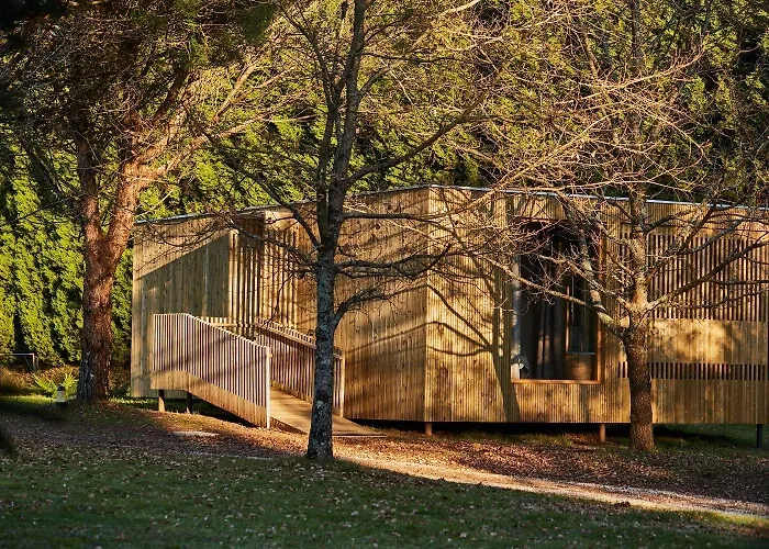 Holacamp Camino オ・ピノ