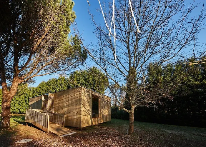 Holacamp Camino * O Pino