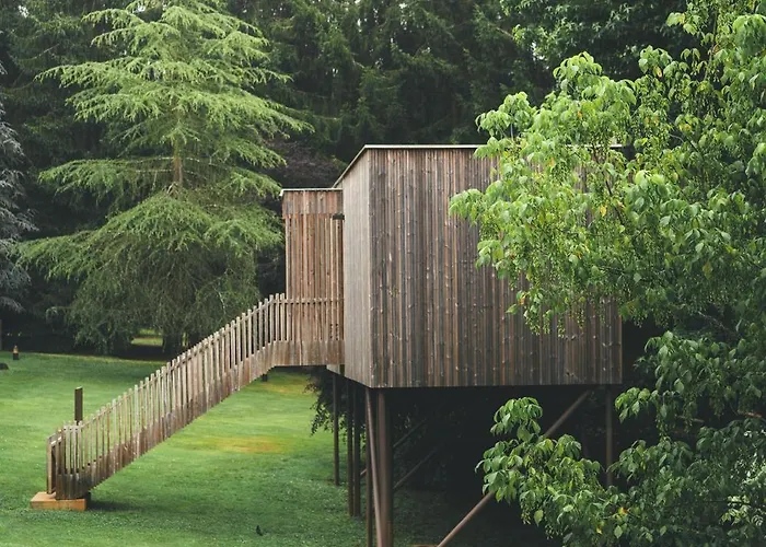 Holacamp Camino O Pino