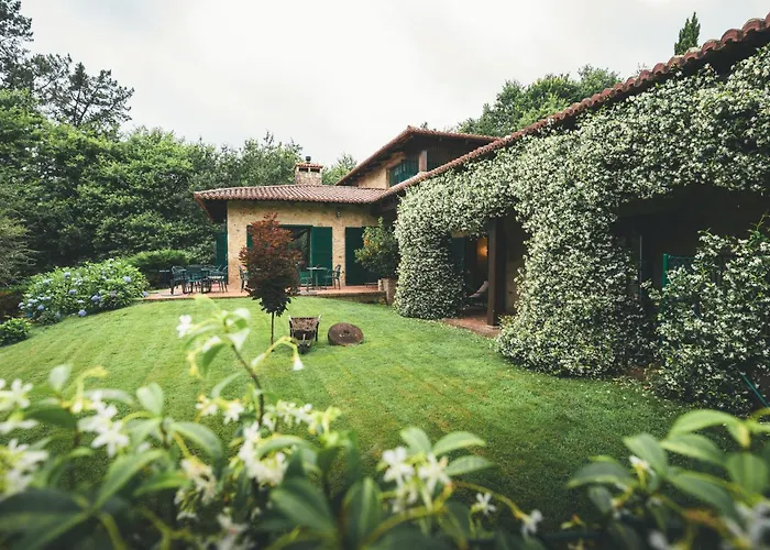 Holacamp Camino オ・ピノ