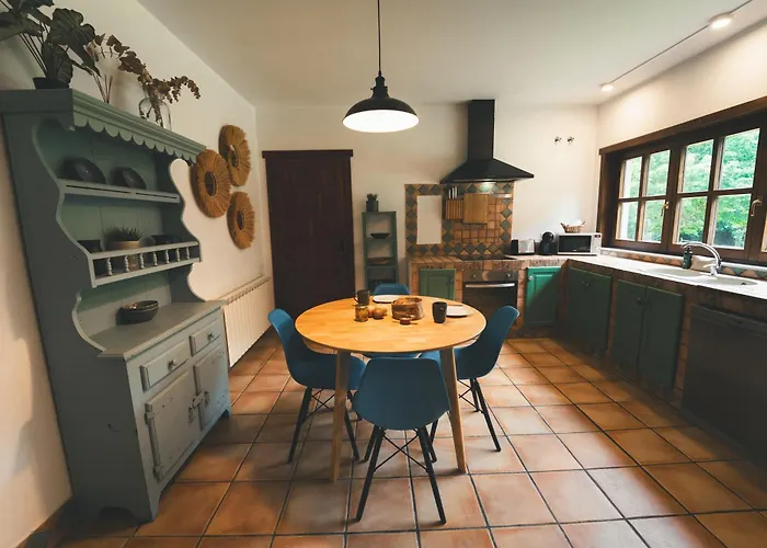 Holacamp Camino O Pino