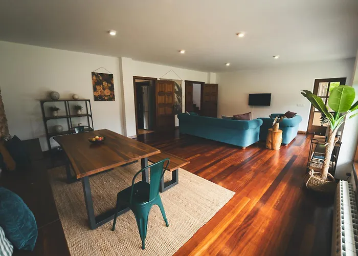 Holacamp Camino O Pino