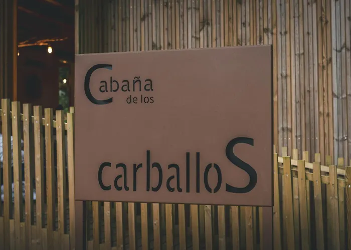 Holacamp Camino O Pino