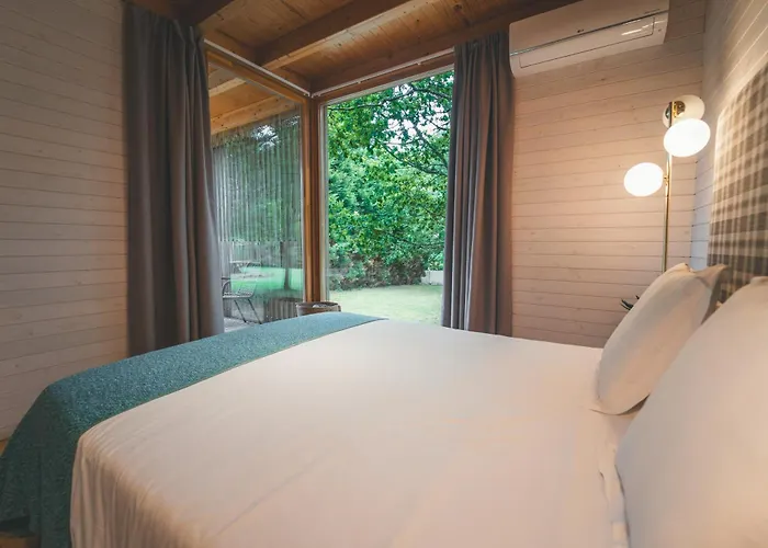 Holacamp Camino * O Pino