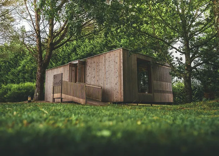 Holacamp Camino O Pino