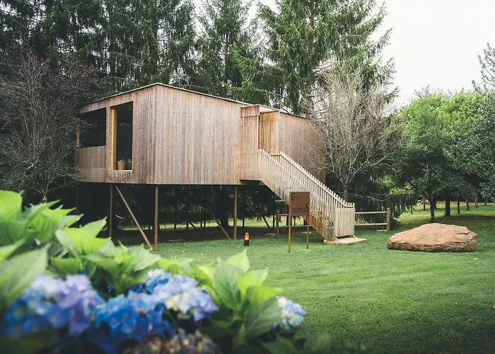 Holacamp Camino * O Pino